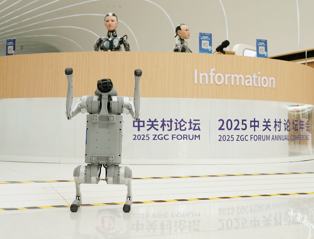 一款宇树Go2机器狗在位于北京市海淀区的中关村国际创新中心演示（2025年3月26日摄）。新华社记者 张晨霖 摄